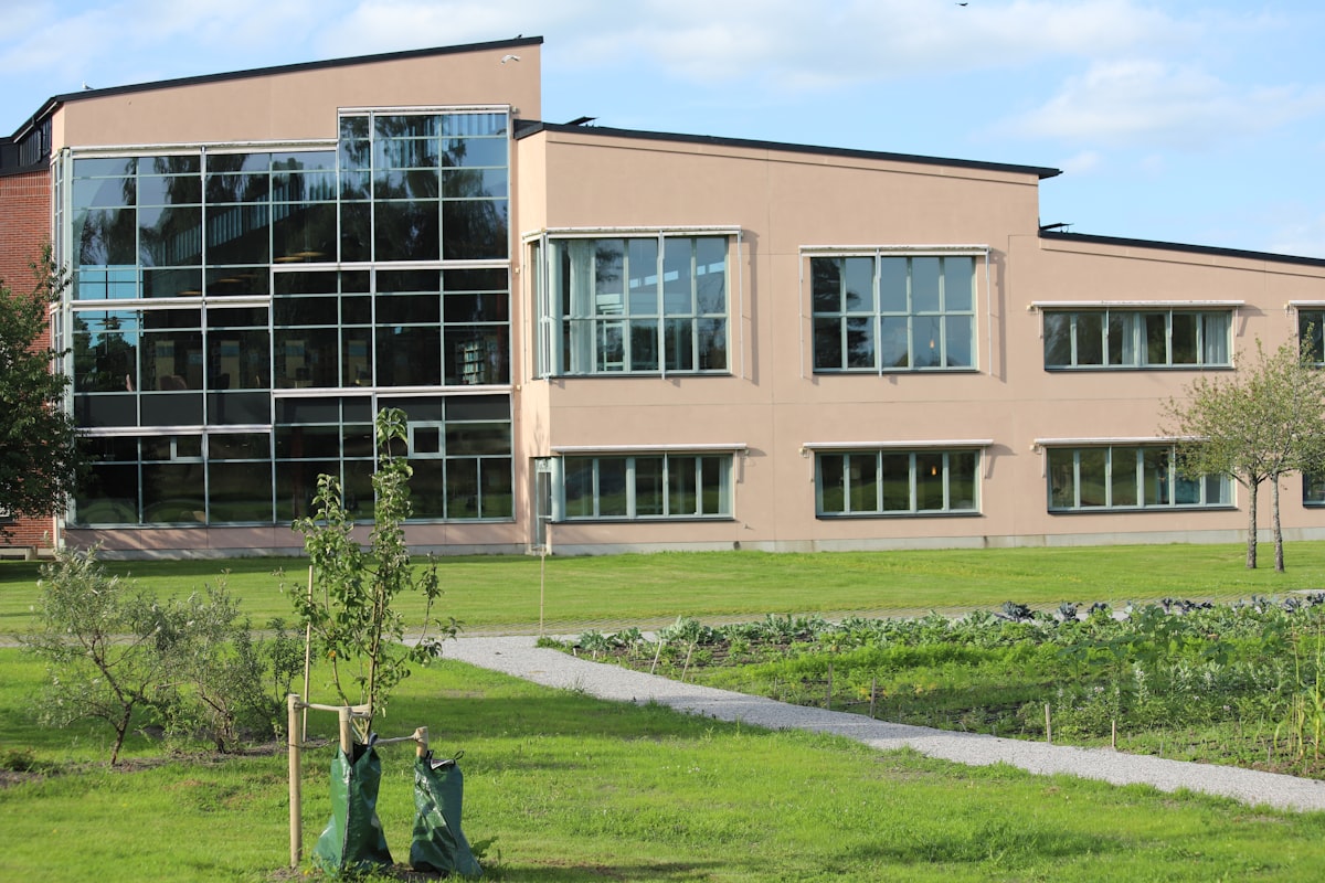Škola a okolí, sběr papíru